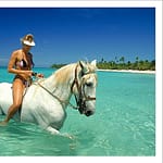 Surfing… or riding? A response to the surf analogy!