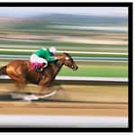 Melbourne cup, an Australian celebration!